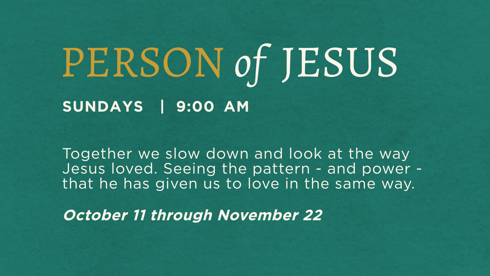 poj wide fall26-sun image