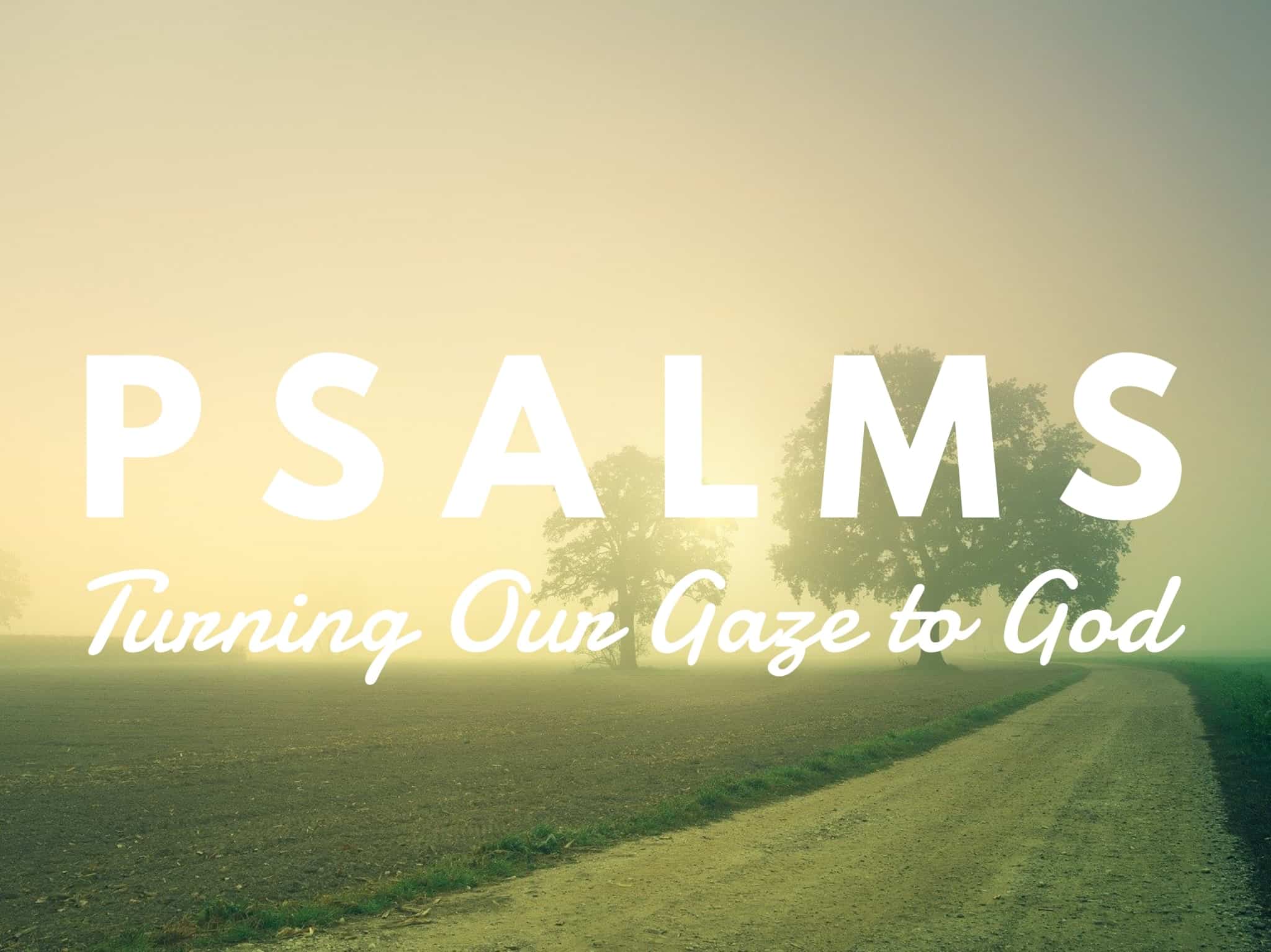 Psalms: Turning Our Gaze to God banner