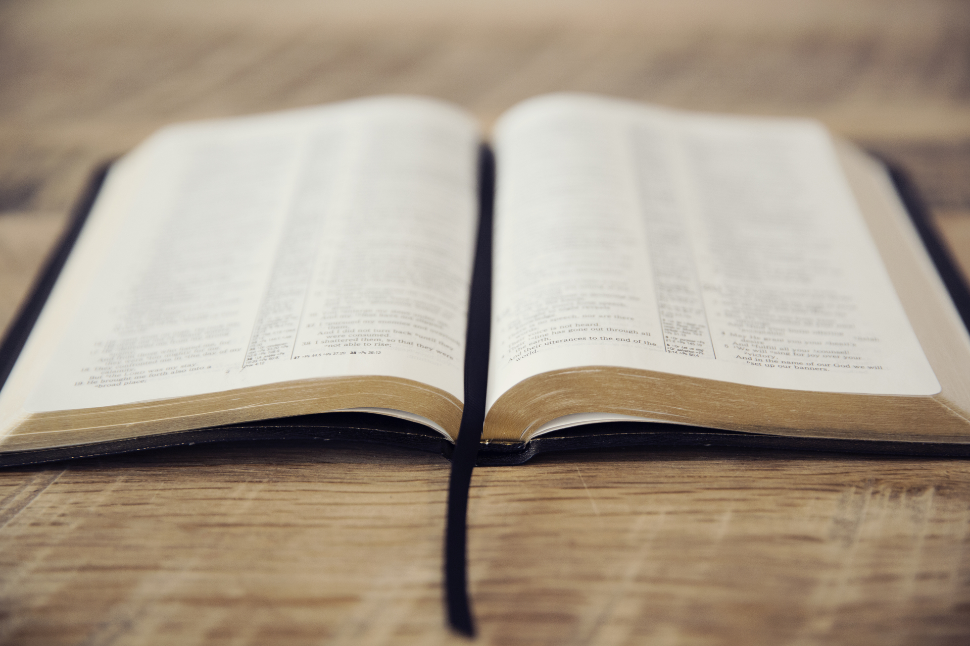 pages_of_an_open_bible-1920x1280