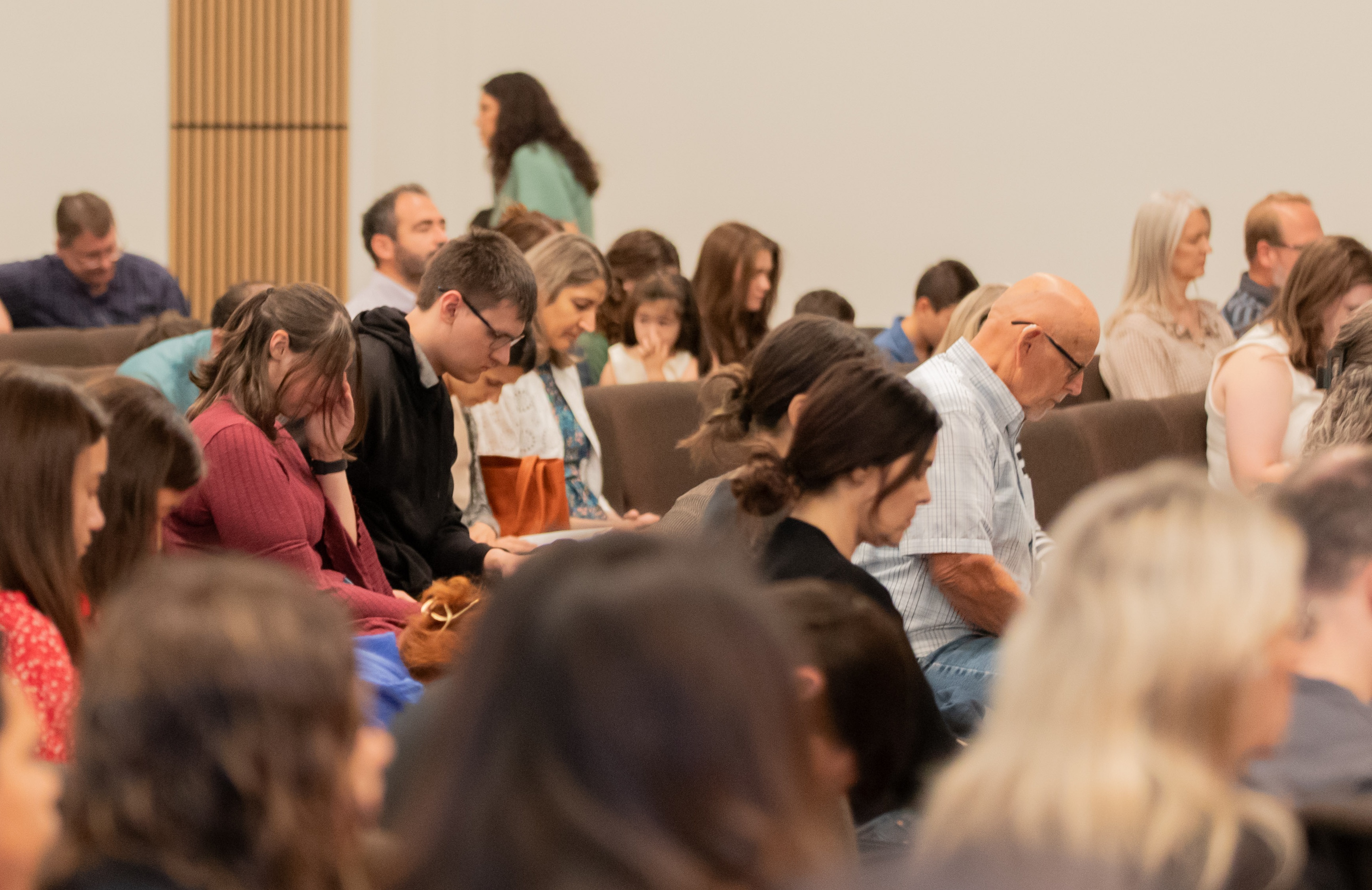 IMG_8565 Cropped (1)