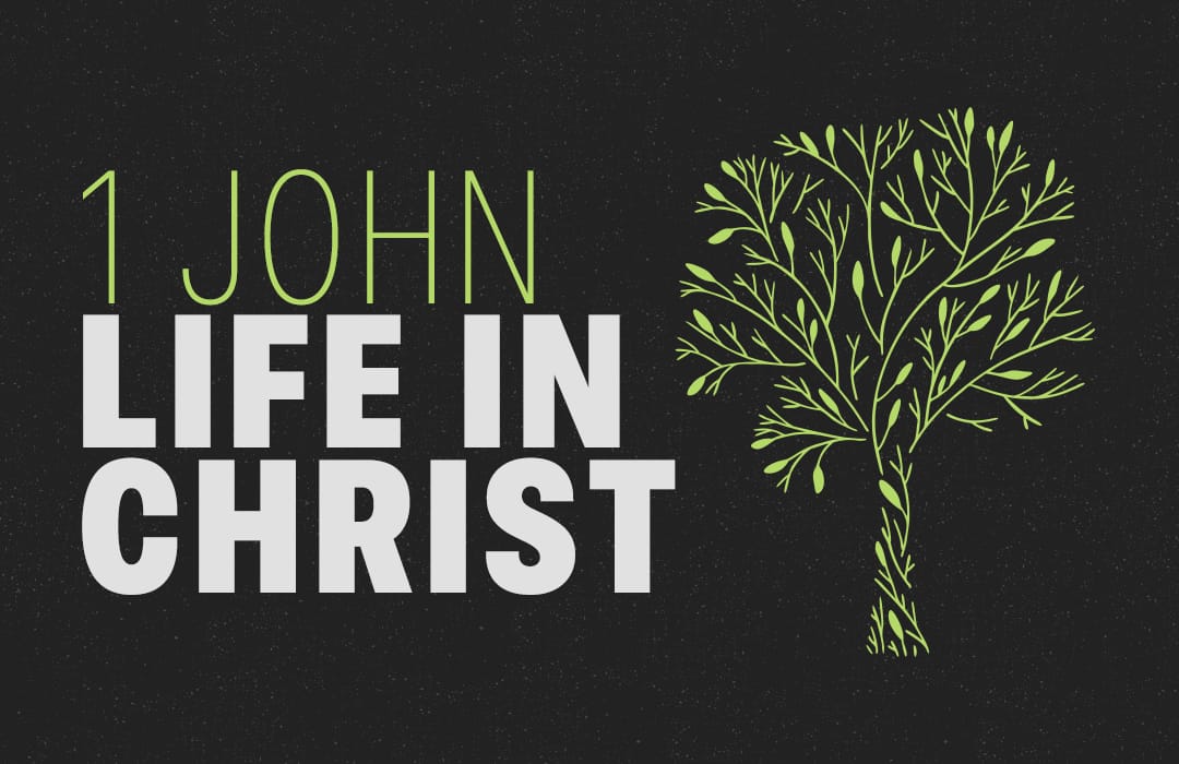 1 John - Life in Christ banner