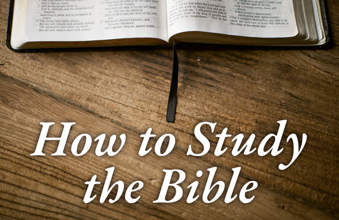 How to Study the Bible banner