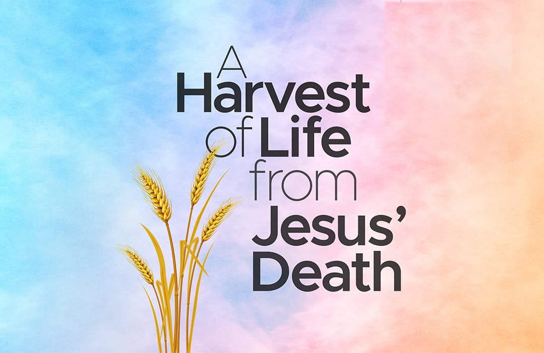 A Harvest of Life from Jesus' Death banner
