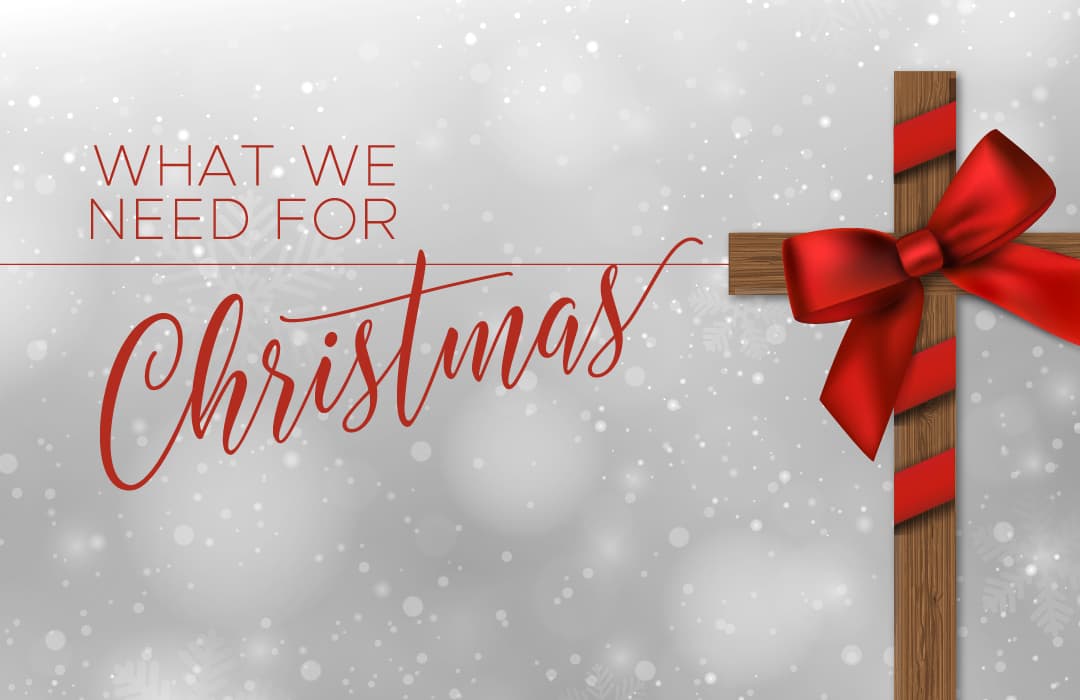 What We Need for Christmas banner