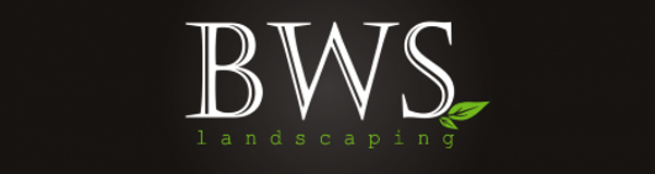 bws