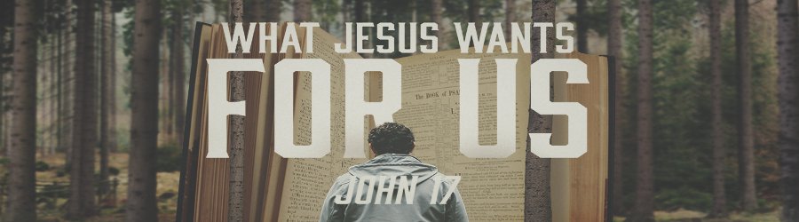 What Jesus Wants For Us banner
