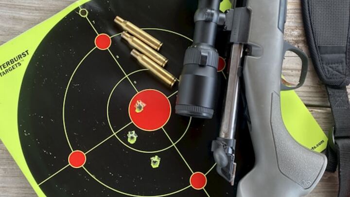 medium_image-1709577661841