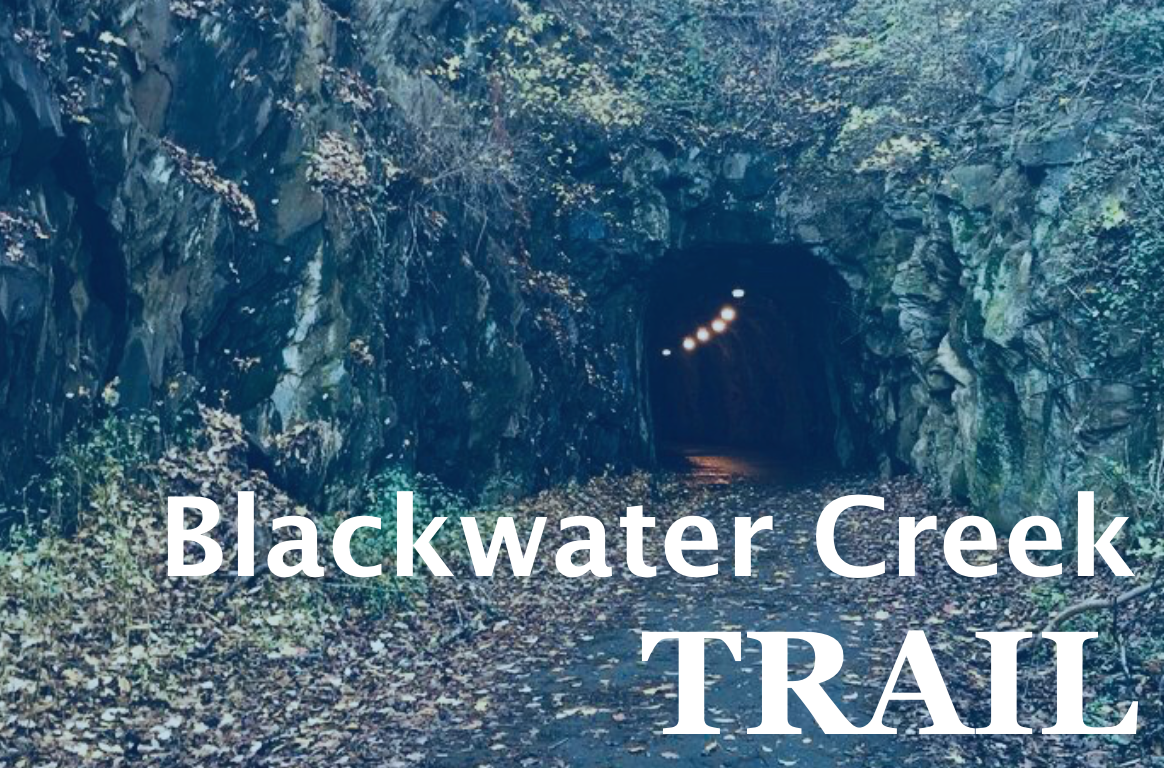 Blackwater Feature image