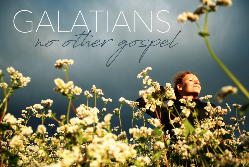 No Other Gospel: A Study of Galatians banner
