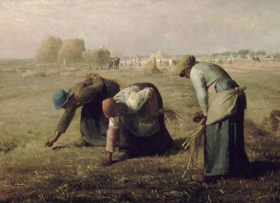 Ruth - gleaners in the field
