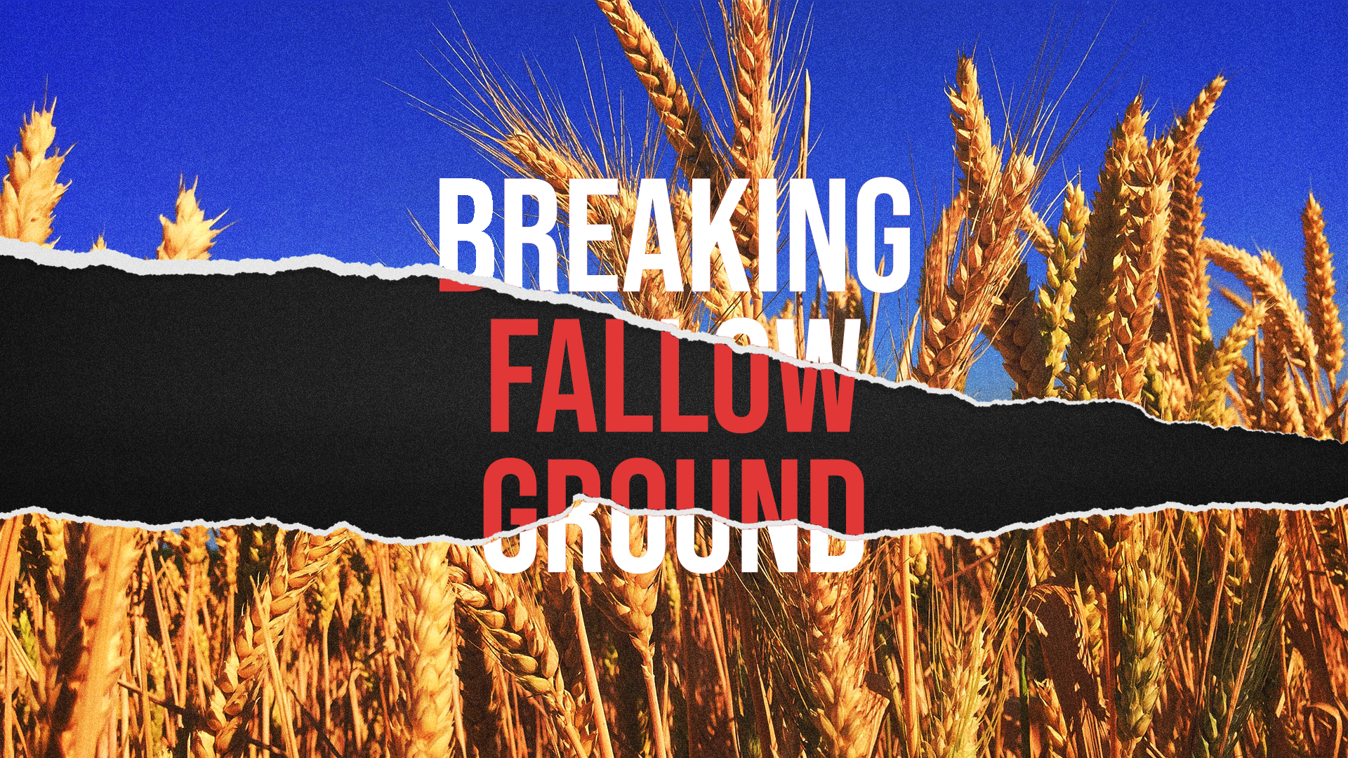 Breaking Fallow Ground banner