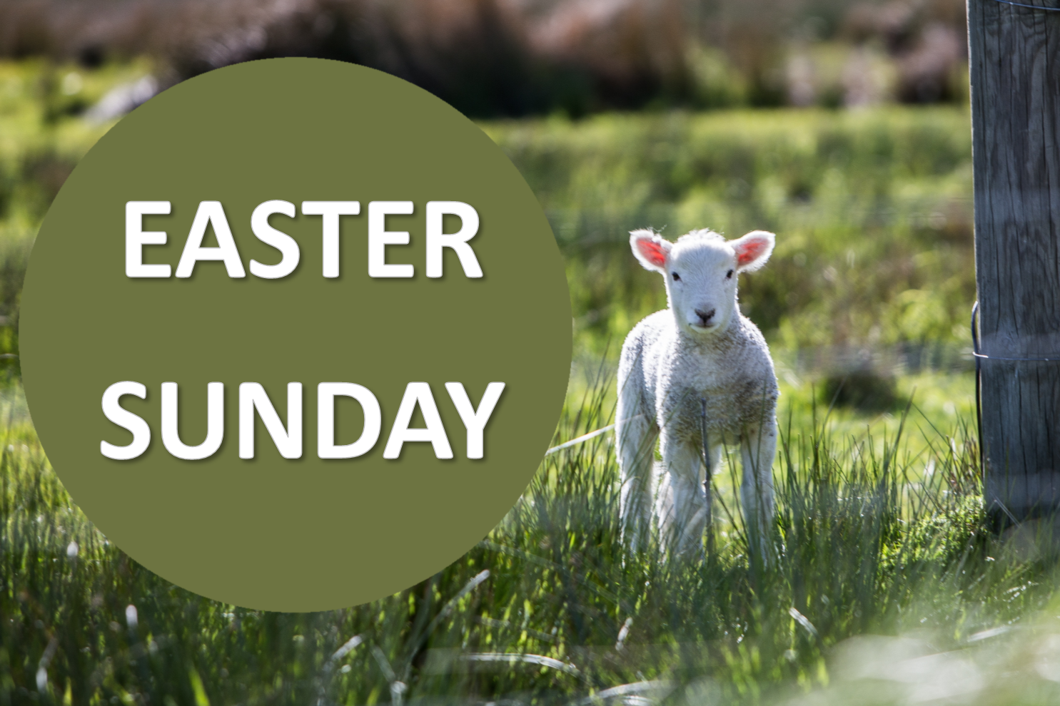 Easter Sunday image