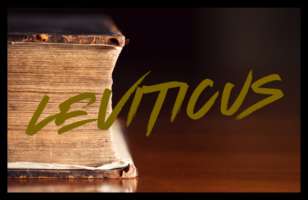 Bible Hour Leviticus Website Art  2026  (1080 x 700 px) (1)