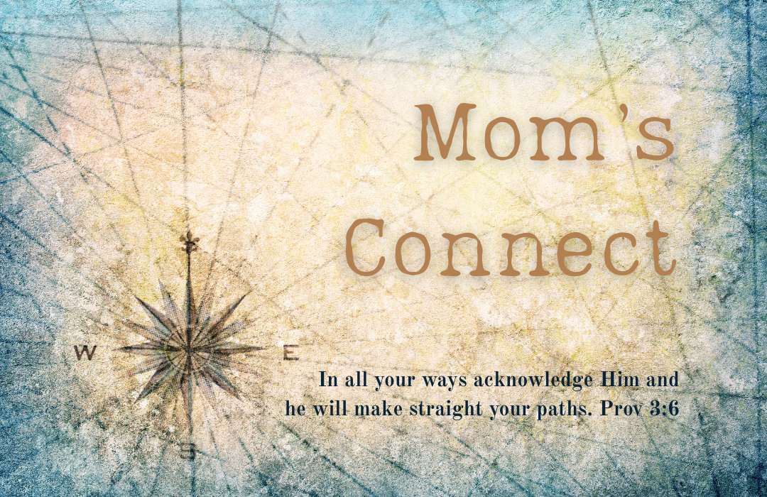 MC 2025-26 Website Feature Ar (1) image