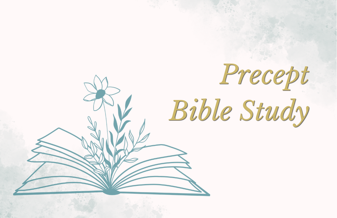 Precept Bible Study Website Art  (1080 x 700 px) image