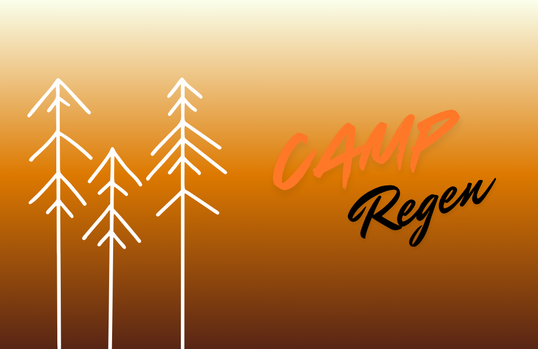 Summer Camp Regen 2026 Website Art
