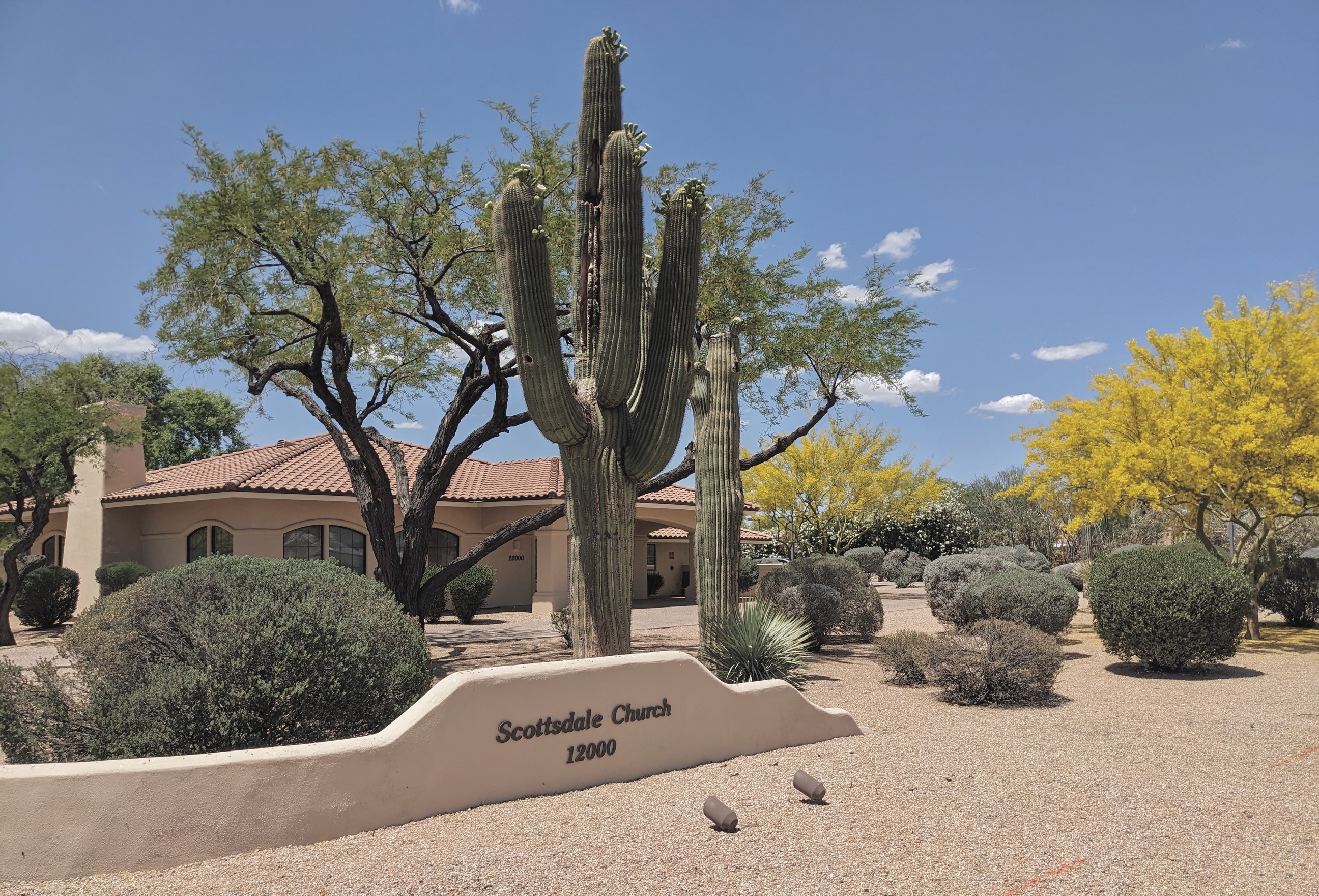 Scottsdale Accounting