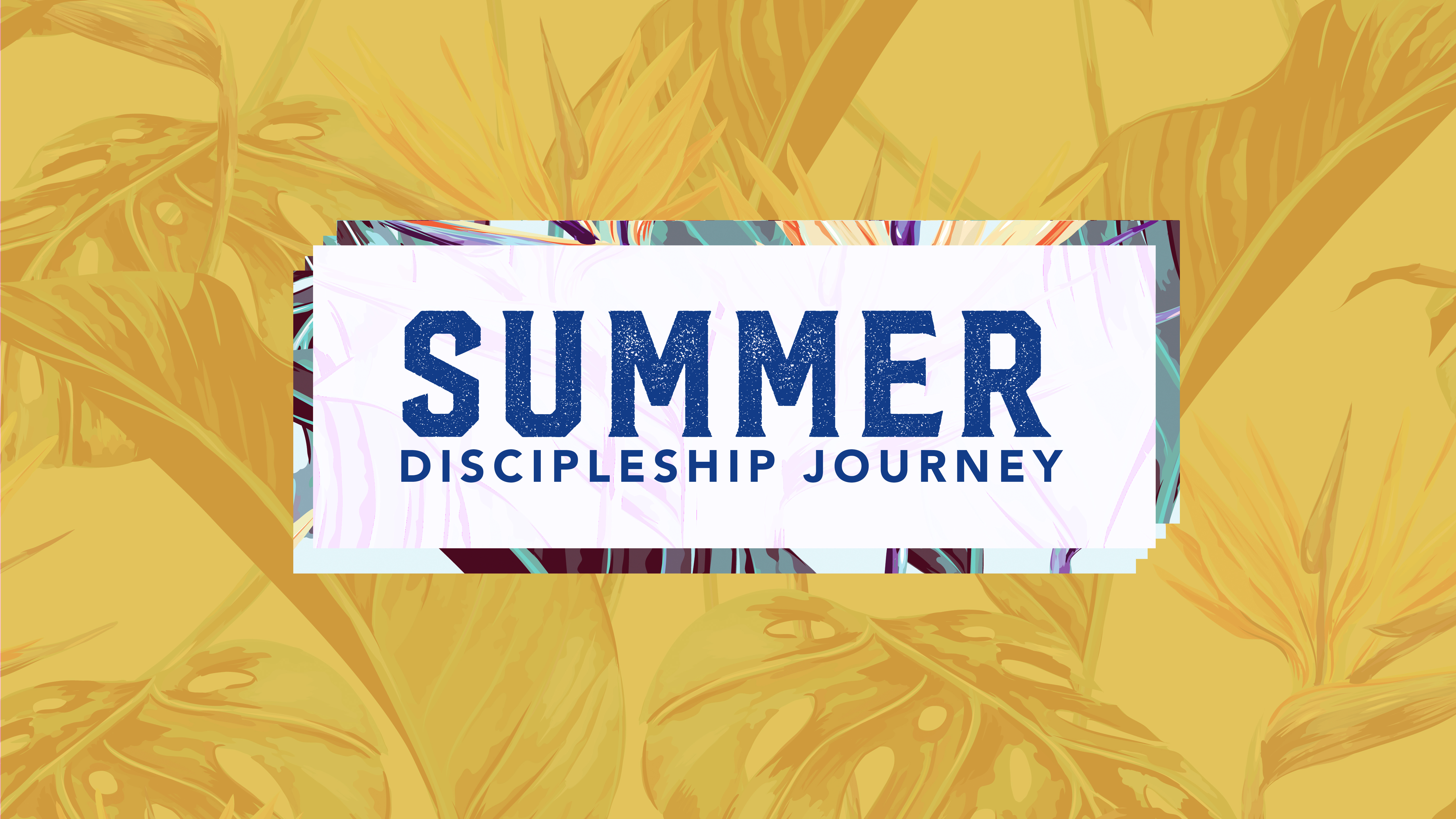 Summer Discipleship Journey (002) image