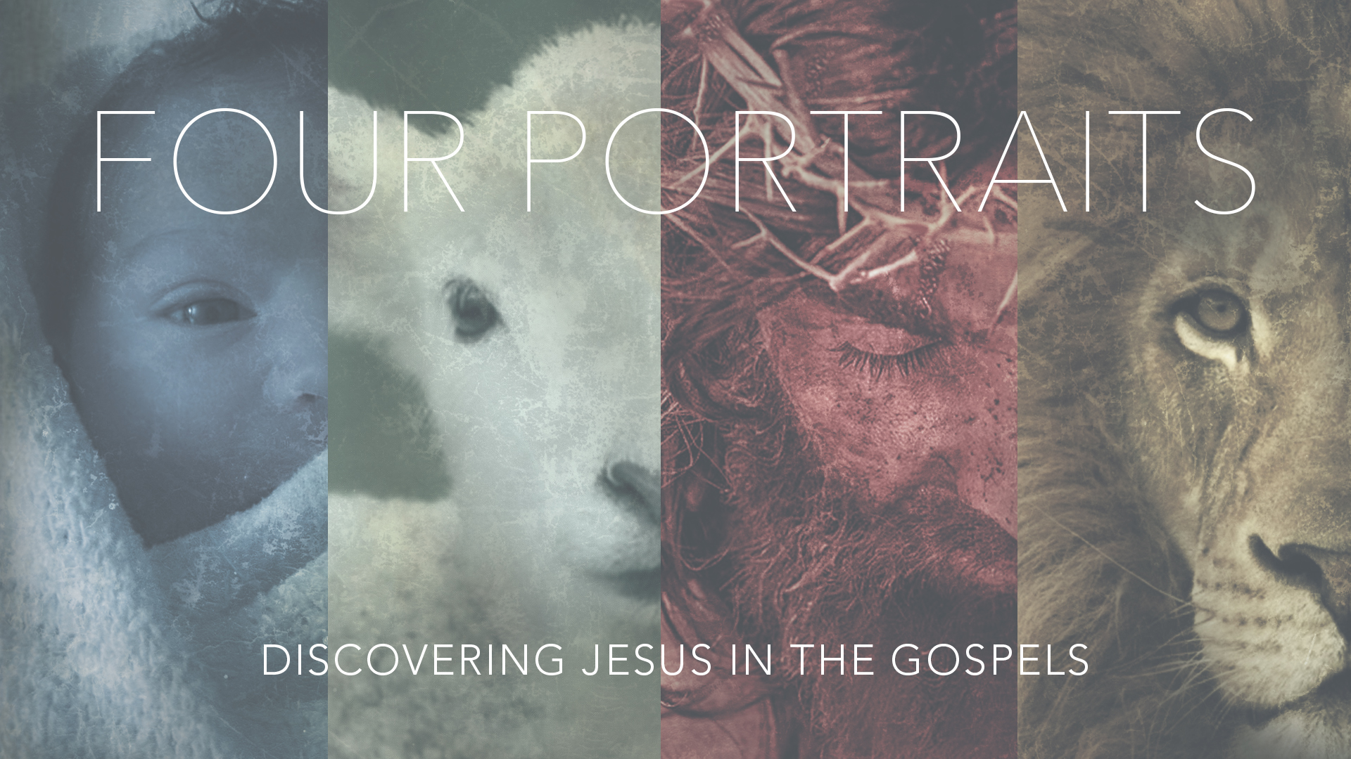 Four Portraits - Discovering Jesus in the Gospels image