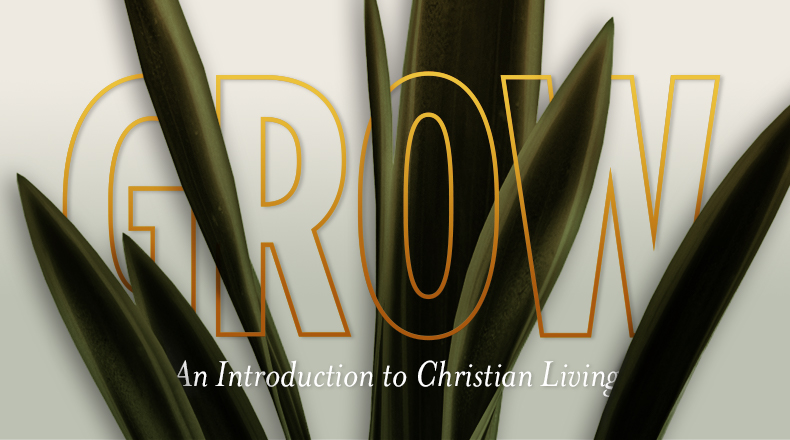Grow: An Introduction to the Christian image