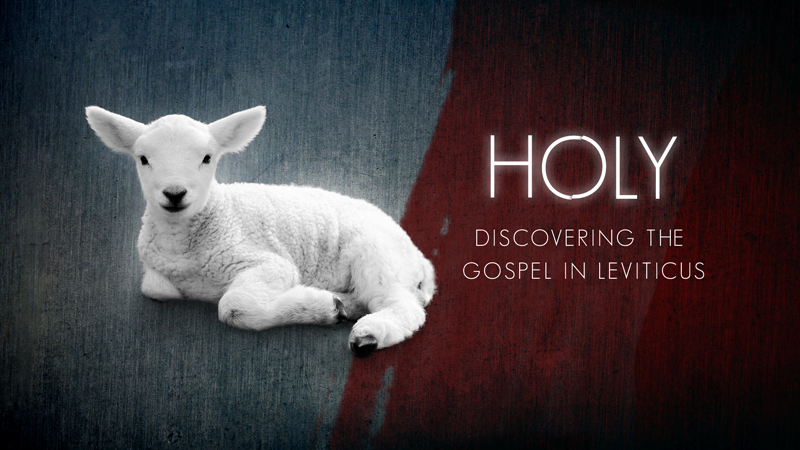 Holy - Discovering the Gospel in Leviticus image