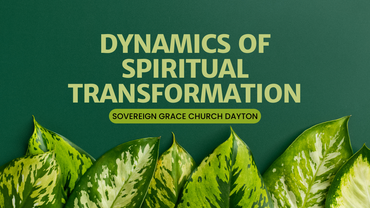 Dynamics of Spiritual Transformation banner