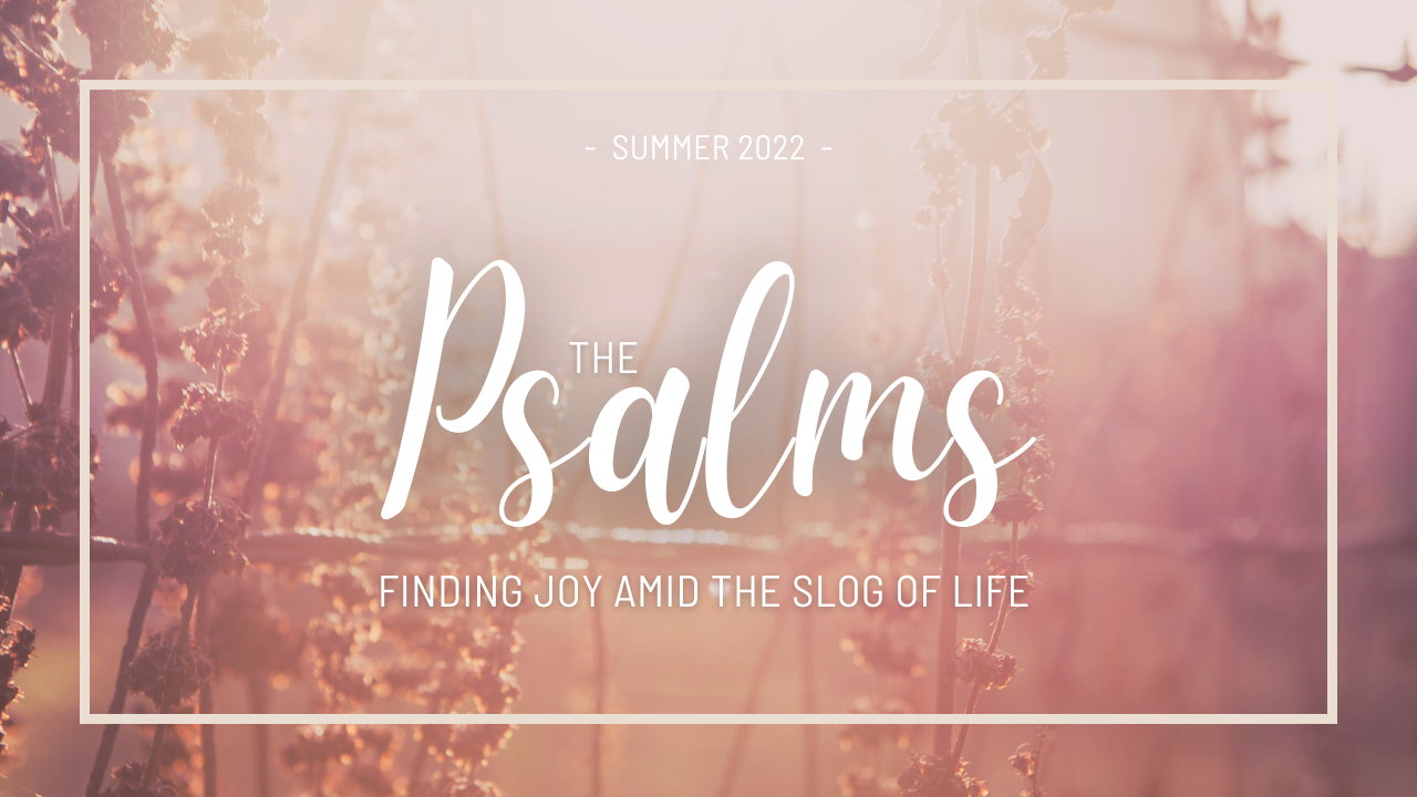 The Psalms - Finding Joy Amid the Slog of Life banner
