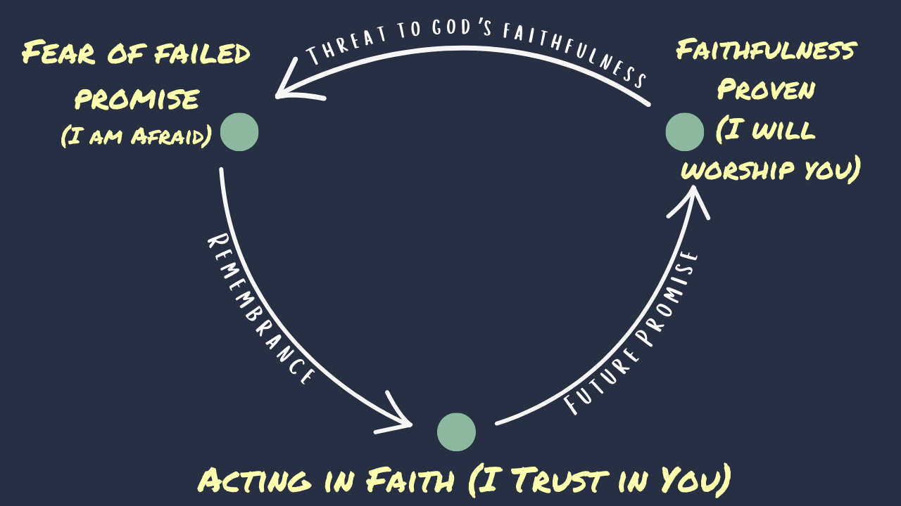 Trust Cycle