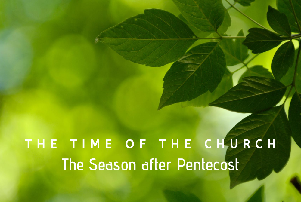 The Season After Pentecost banner