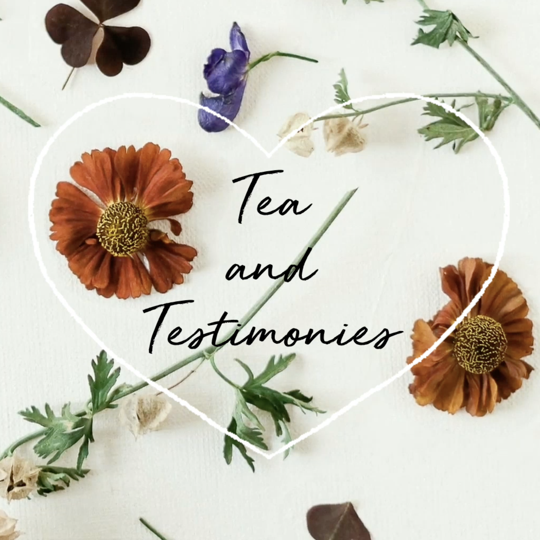 Tea_Testimonies2024