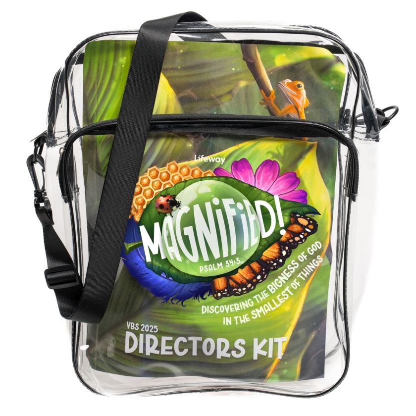 VBS Director Kit