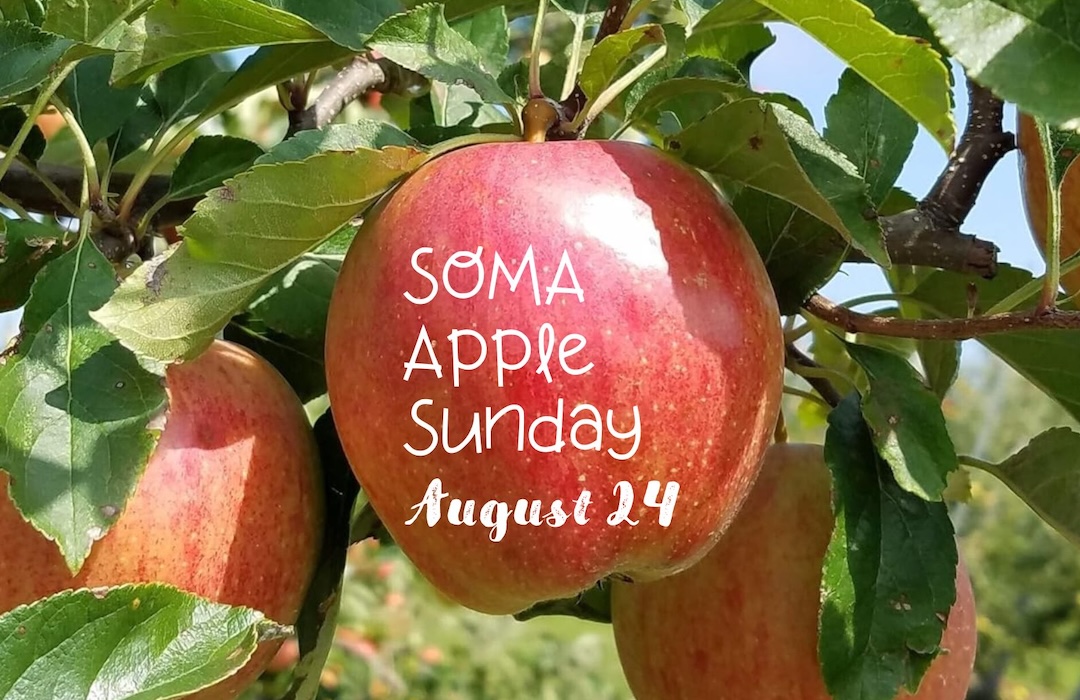 2025.08.24.SOMAAppleSunday feature image
