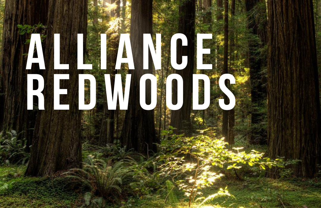 2026.09.27.AllianceRedwoods (1080 x 700 px)