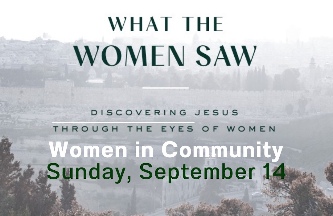 what the women saw copy image