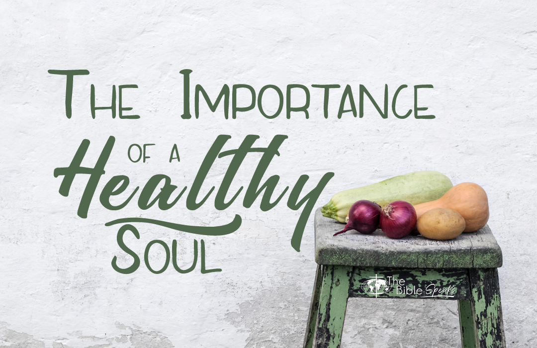 The Importance Of A Healthy Soul banner