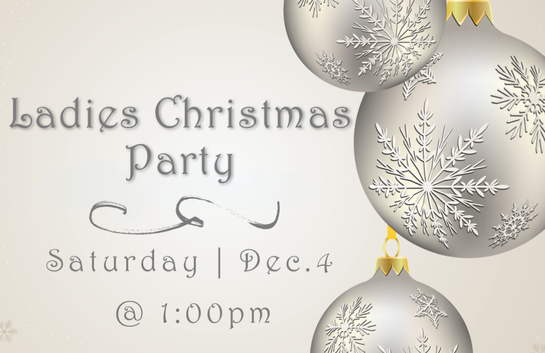 ladies-christmas-party image
