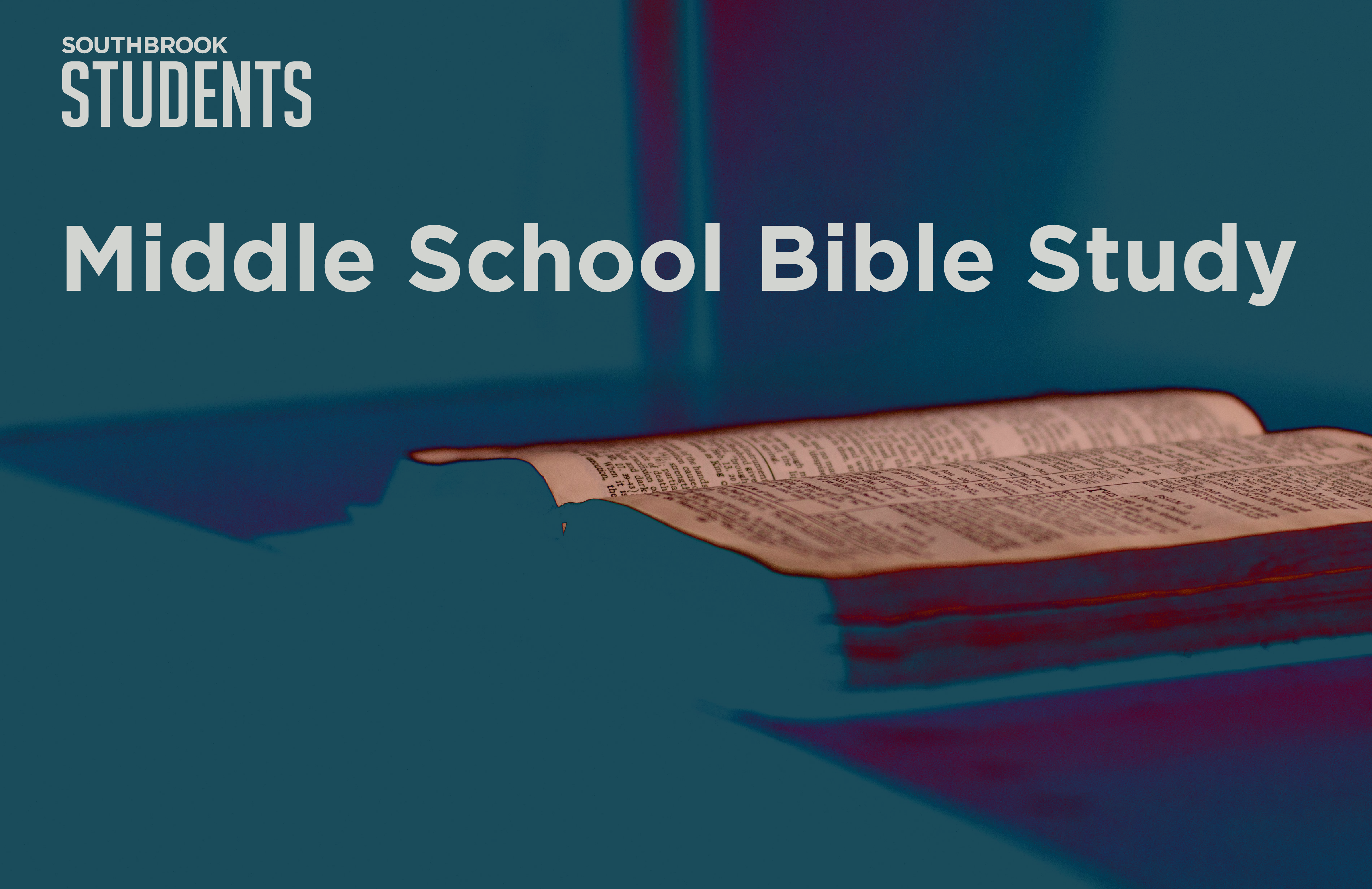 25_student_bible_study-06 image