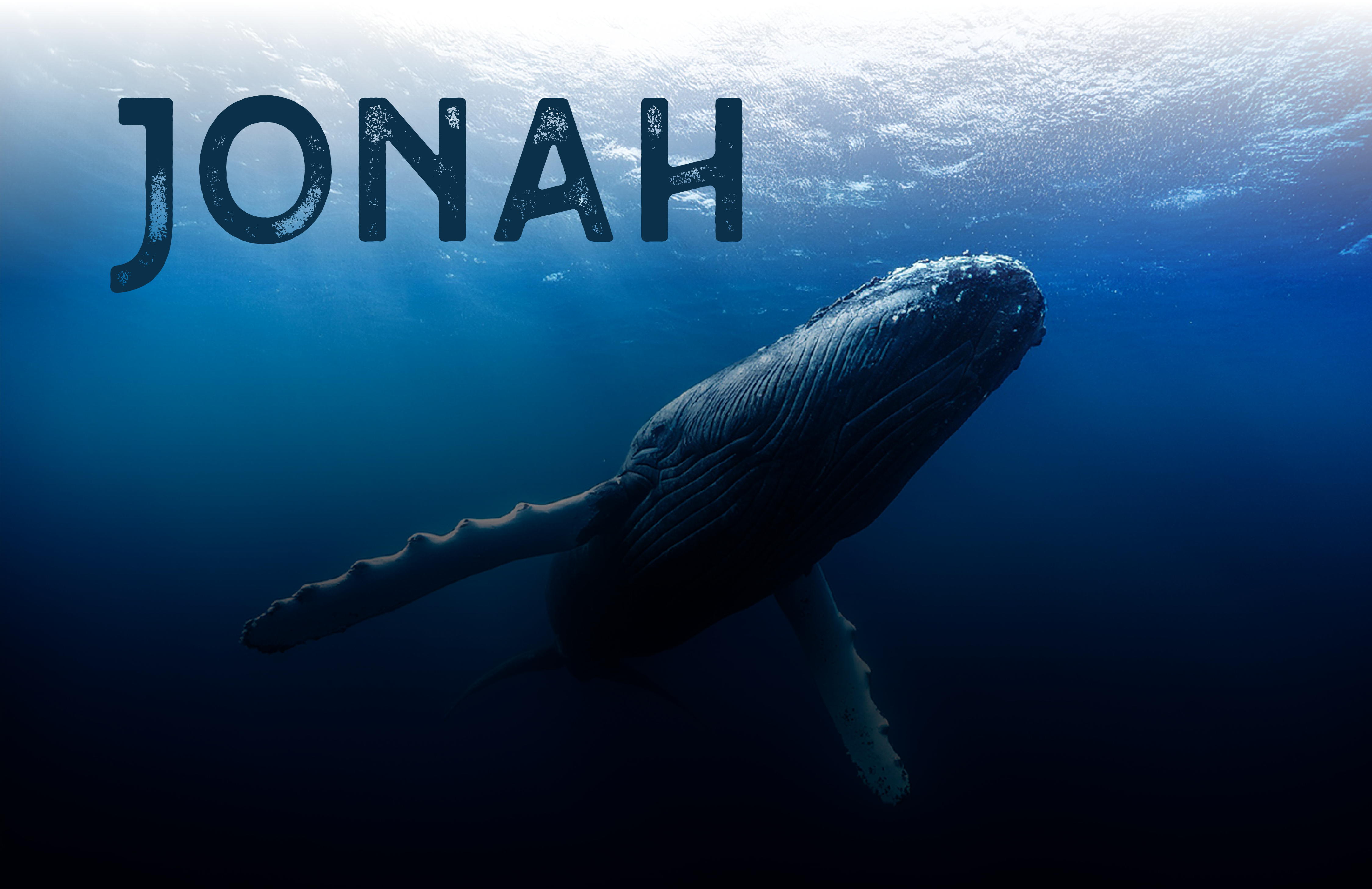 jonah-02 image