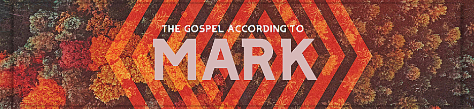 A Night of Weak Faith and Great Shame - Mark 14:66-72 banner