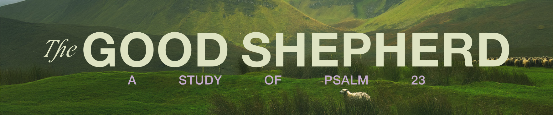 2026 The Good Shepherd Header(2)