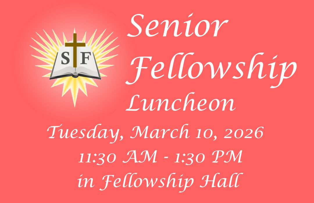 Senior Fellowship poster (1080 x 700 px) (2) image