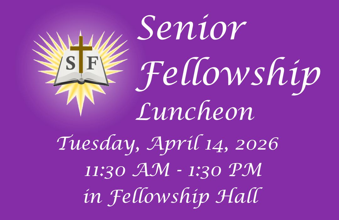 Senior Fellowship poster (1080 x 700 px) (3) image
