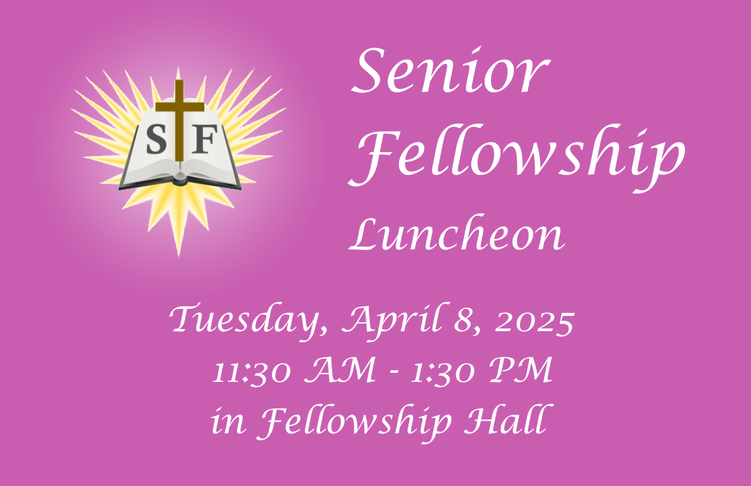 Senior Fellowship poster (1080 x 700 px) image