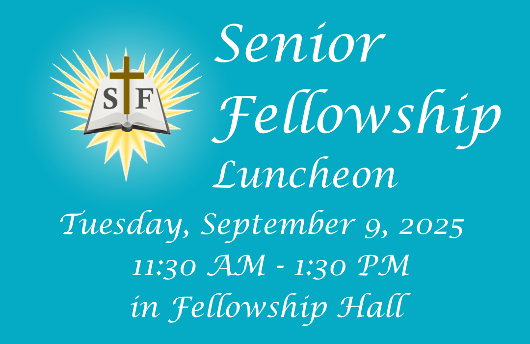 Senior Fellowship poster (1080 x 700 px) image
