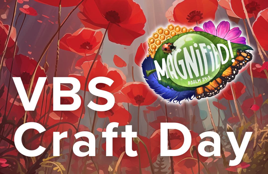 VBS Magnified 2025 (4)