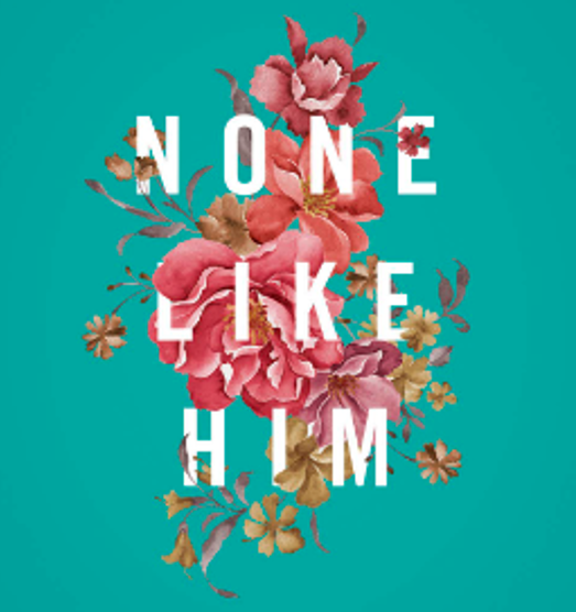 None like Him cover