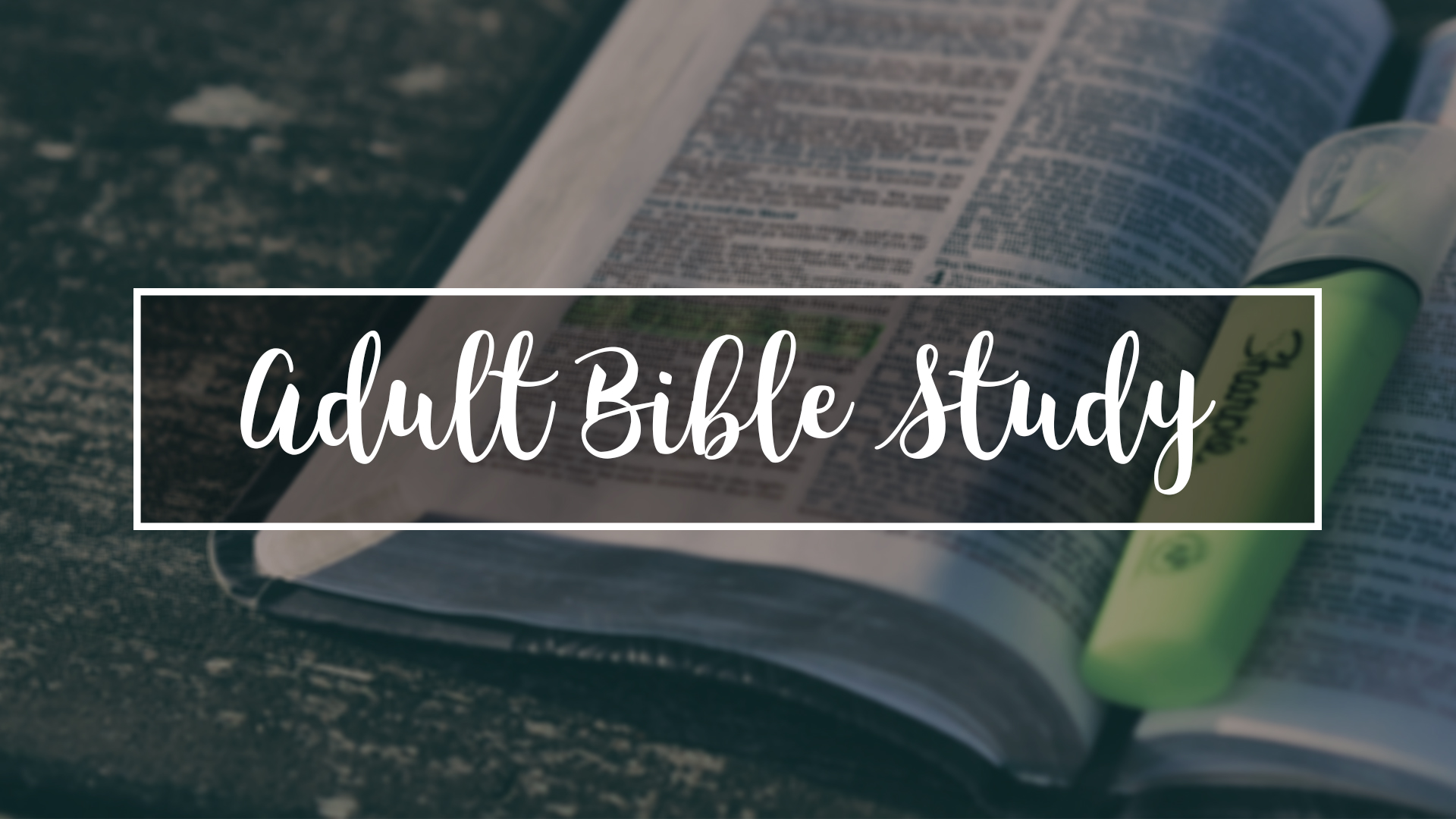 Adult-Bible-Study image