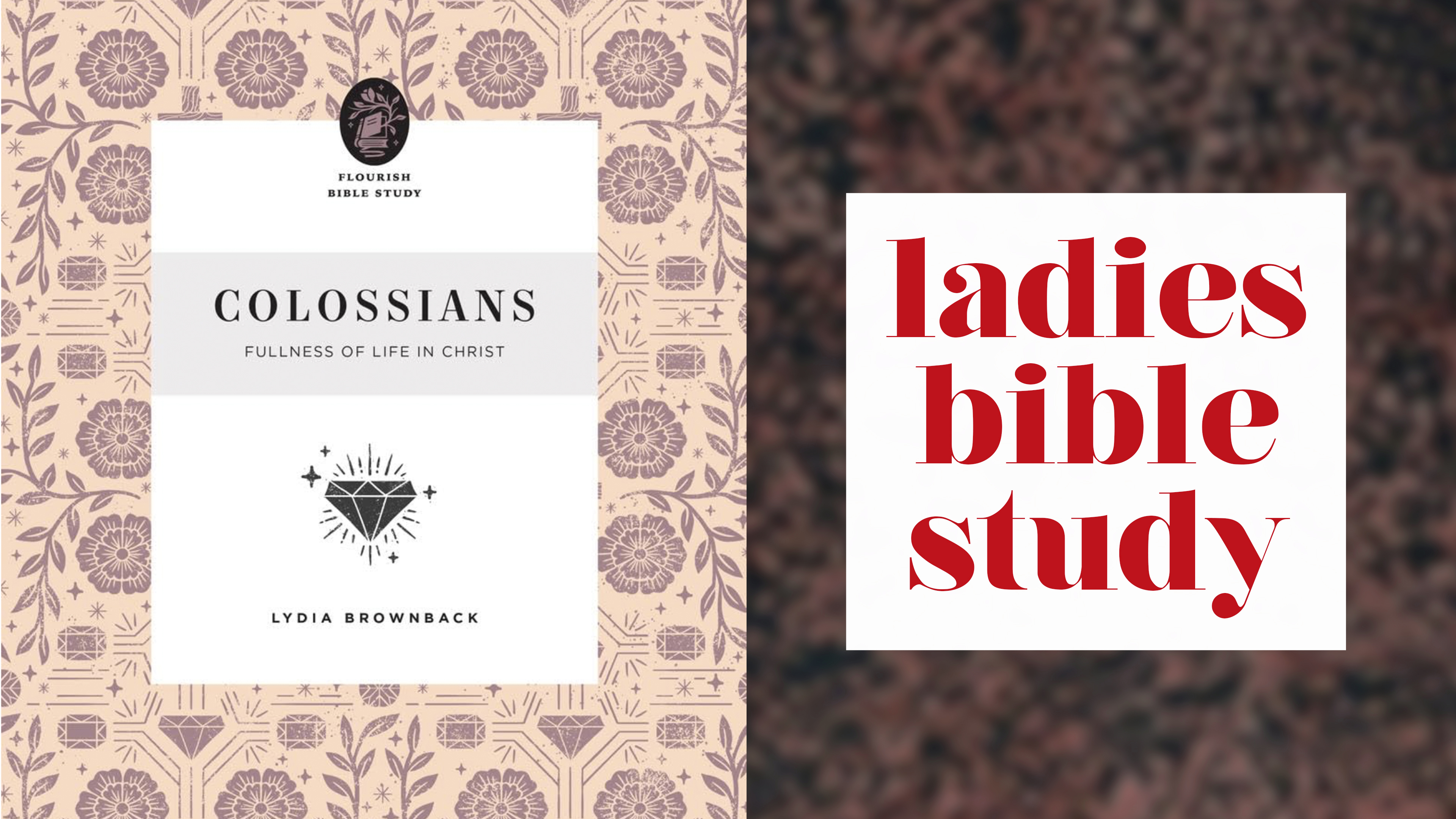 colossians Ladies Bible Study summer 2026 image