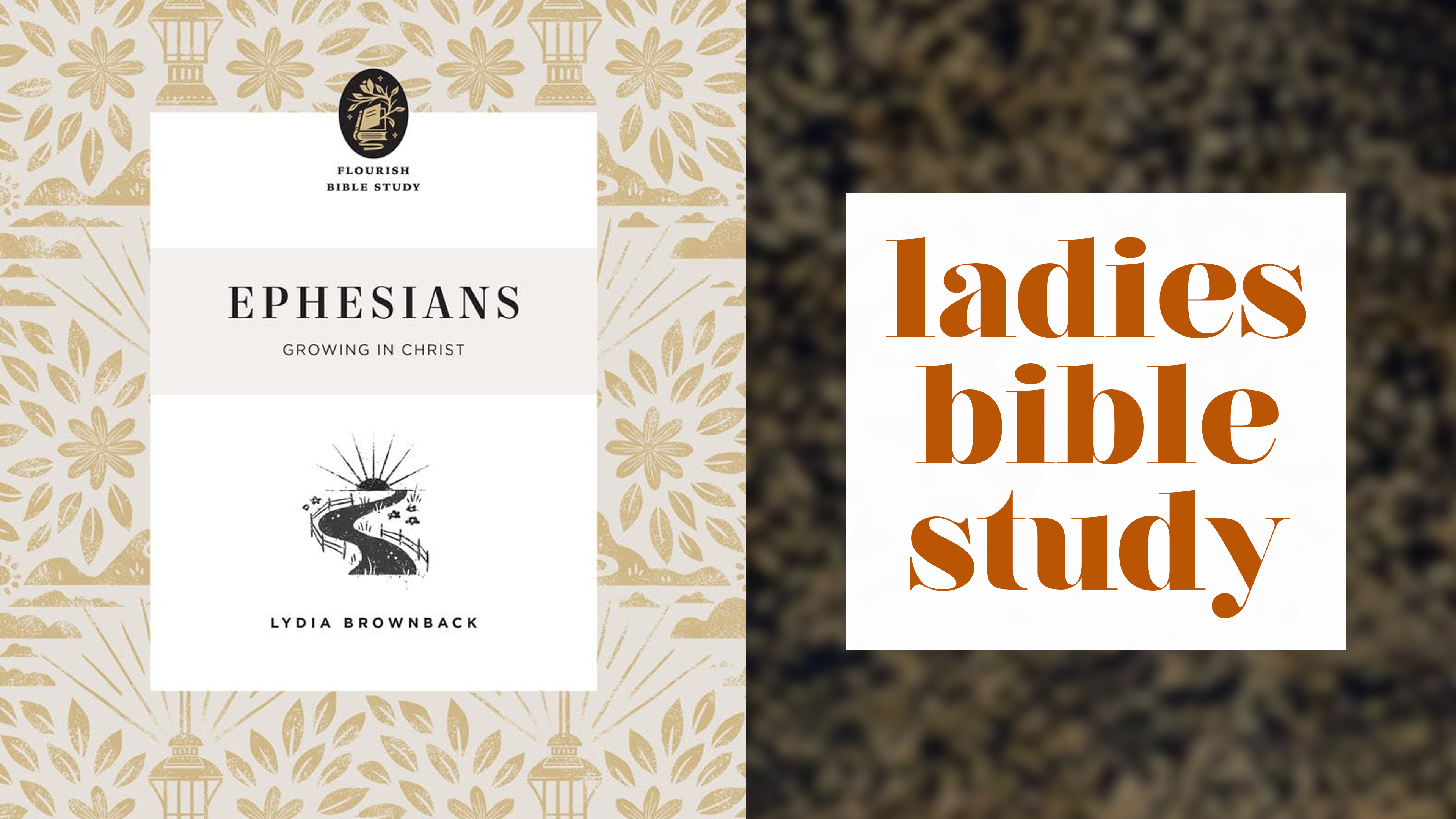 ephesians Ladies Bible Studyspring 2026