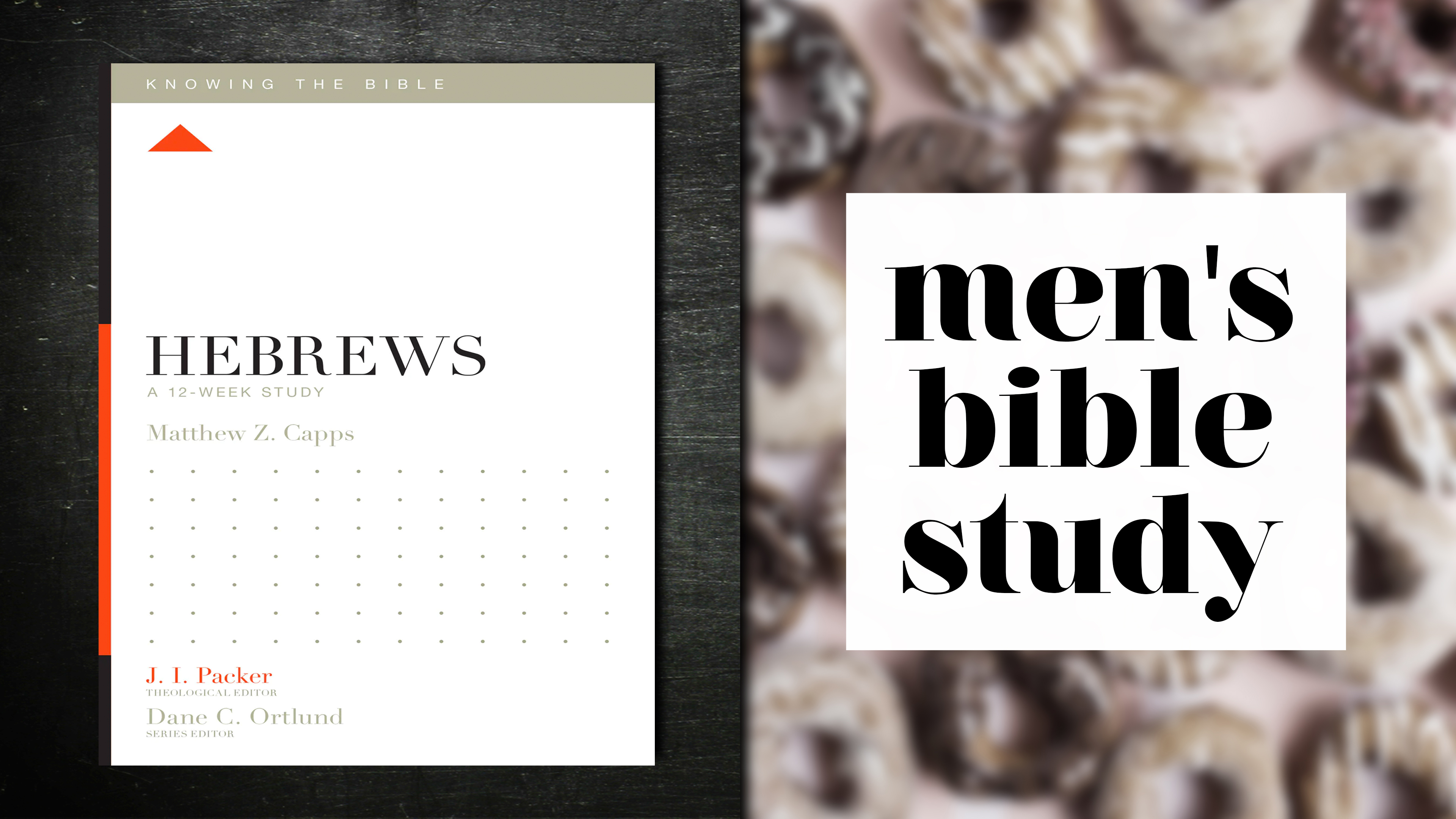 Men's Abingdon Bible Study summer 2023  image